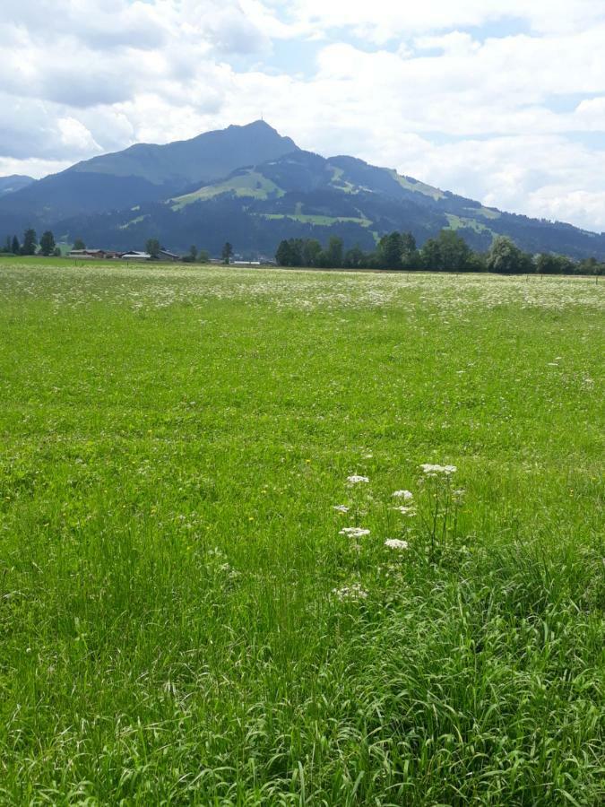 Appartement Muellner Kirchdorf in Tirol Εξωτερικό φωτογραφία